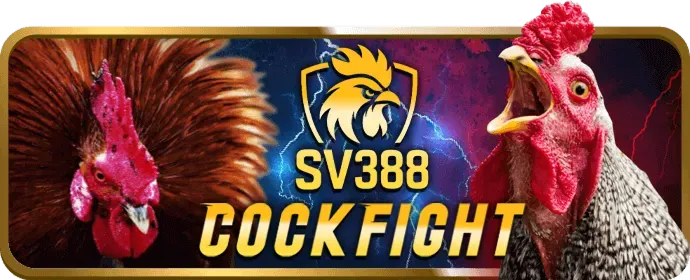 Slot 3D và tính năng đặc biệt tại hz888 nhà cái